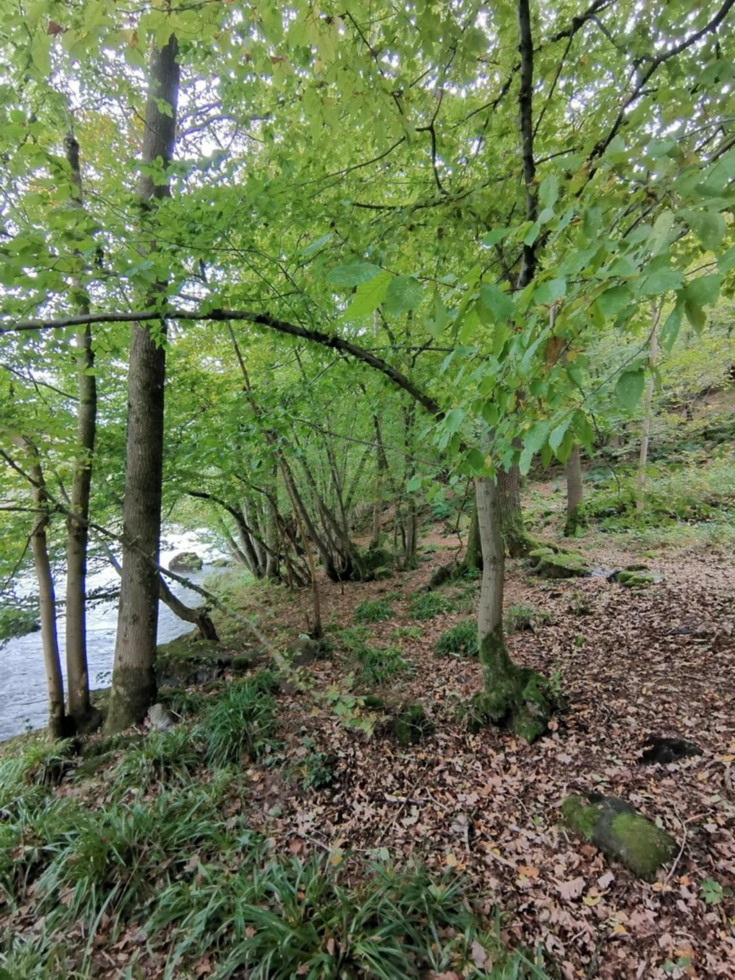 Affittacamere L'Echappee Belle Aywaille Esterno foto